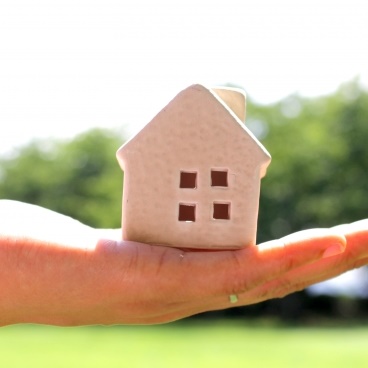 管理のアドバイス